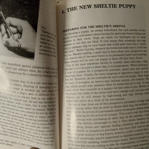 Shetland Sheepdogs by Mark Taynton and Beverly Pisano (1979, Hardcover) - Picture 2 of 7